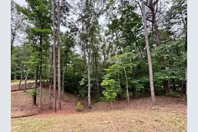 2182 Ben Higgins Road, Dahlonega, GA 30533 - Photo 28