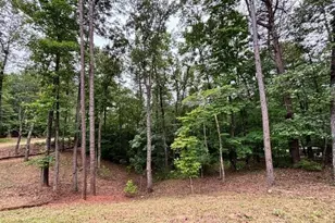 2182 Ben Higgins Rd, Dahlonega, GA 30533 - Photo 28
