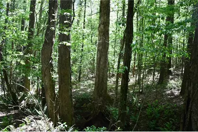 00001 Windridge Lane, Temple, GA 30179 - Photo 6