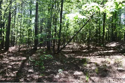 00001 Windridge Lane, Temple, GA 30179 - Photo 2