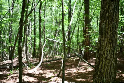 00001 Windridge Lane, Temple, GA 30179 - Photo 10