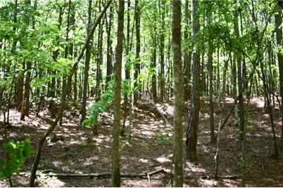00001 Windridge Lane, Temple, GA 30179 - Photo 4