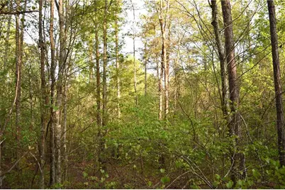 00004 Windridge Lane, Temple, GA 30179 - Photo 14