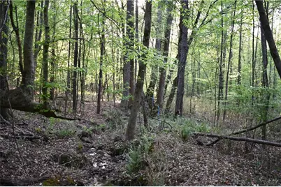 00004 Windridge Lane, Temple, GA 30179 - Photo 4