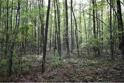 00004 Windridge Lane, Temple, GA 30179 - Photo 2