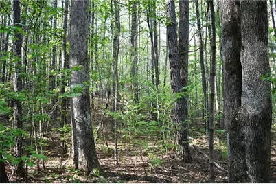 00005 Windridge Lane, Temple, GA 30179 - Photo 4