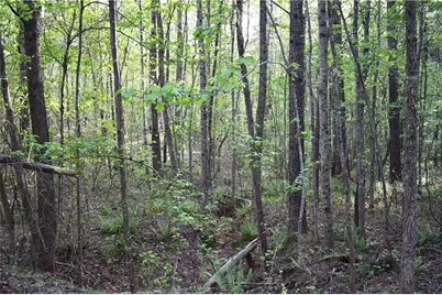 00005 Windridge Lane, Temple, GA 30179 - Photo 10