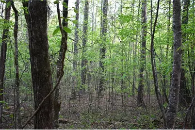 00005 Windridge Lane, Temple, GA 30179 - Photo 12