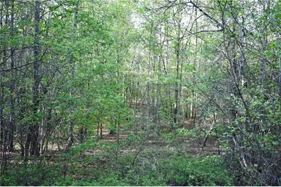 00005 Windridge Lane, Temple, GA 30179 - Photo 6