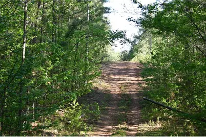 00008 Windridge Lane, Temple, GA 30179 - Photo 20