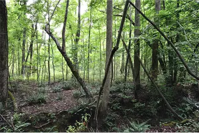 00008 Windridge Lane, Temple, GA 30179 - Photo 2