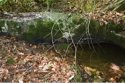 00008 Windridge Lane, Temple, GA 30179 - Photo 6