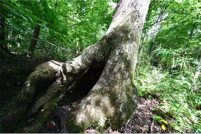 00008 Windridge Lane, Temple, GA 30179 - Photo 14