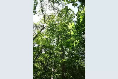 00008 Windridge Lane, Temple, GA 30179 - Photo 18