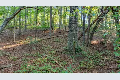 0 Myrtle Drive, Dahlonega, GA 30533 - Photo 14