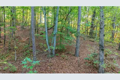 0 Myrtle Drive, Dahlonega, GA 30533 - Photo 12