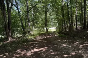 3370 Cowart Rd, Dawsonville, GA 30534 - Photo 20