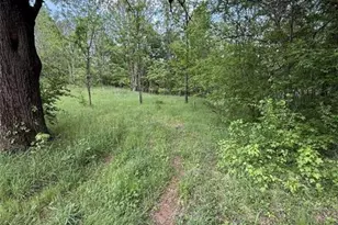 3370 Cowart Rd, Dawsonville, GA 30534 - Photo 14