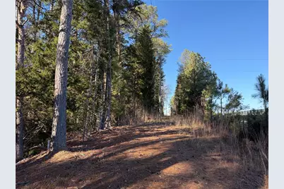 000000 Liberty Church Road, Ranger, GA 30734 - Photo 44