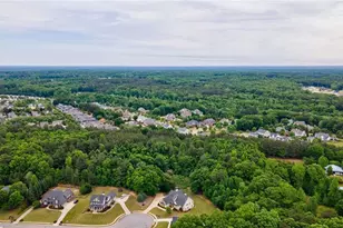 2221 Gentry Ln, Statham, GA 30666 - Photo 60