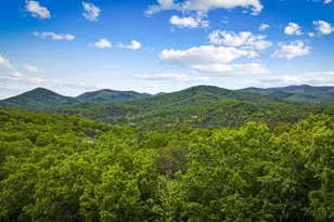 458 Sugar Mountain Rd, Blue Ridge, GA 30513 - Photo 62