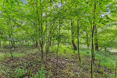 0 Lewis Grindle Road, Dahlonega, GA 30533 - Photo 12