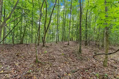 0 Lewis Grindle Road, Dahlonega, GA 30533 - Photo 10