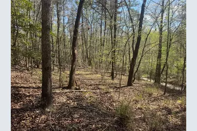 0 Lewis Grindle Road, Dahlonega, GA 30533 - Photo 10