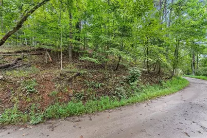 0 Lewis Grindle Road, Dahlonega, GA 30533 - Photo 16