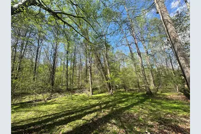0 Lewis Grindle Road, Dahlonega, GA 30533 - Photo 8