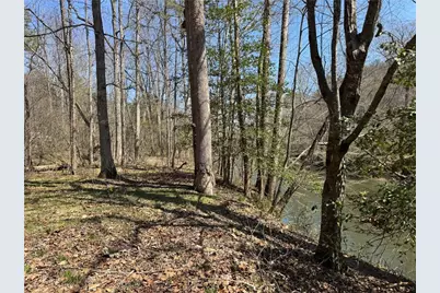 0 Lewis Grindle Road, Dahlonega, GA 30533 - Photo 6