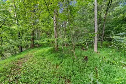 0 Lewis Grindle Road, Dahlonega, GA 30533 - Photo 8