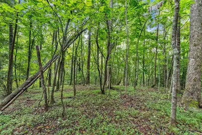 0 Lewis Grindle Road, Dahlonega, GA 30533 - Photo 20
