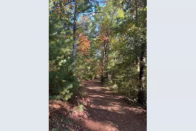 0 Pleasant Hill Trail, Ellijay, GA 30540 - Photo 4
