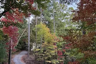 0 Pleasant Hill Trail, Ellijay, GA 30540 - Photo 1