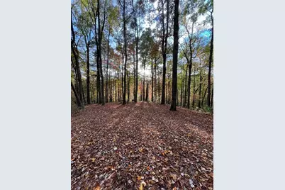0 Pleasant Hill Trail, Ellijay, GA 30540 - Photo 14