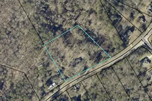 1321 New Hope Church Rd, Loganville, GA 30052 - Photo 4