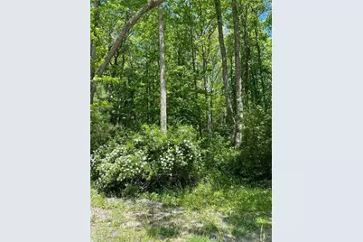 0 Sunrise Valley Road, Blue Ridge, GA 30513 - Photo 2