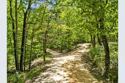 0 Neals Brow Road, Menlo, GA 30731 - Photo 4