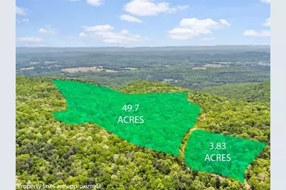 0 Neals Brow Road, Menlo, GA 30731 - Photo 16