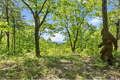 0 Neals Brow Road, Menlo, GA 30731 - Photo 6