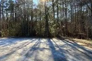 4195 SE Stephanie Circle SE, Conyers, GA 30013 - Photo 1
