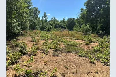 127 Sam Sutton Road NW, Adairsville, GA 30103 - Photo 8