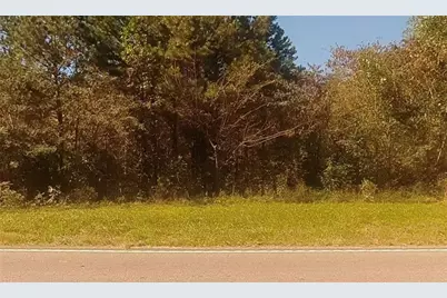 0 Ball Ground Hwy, Ball Ground, GA 30107 - Photo 4