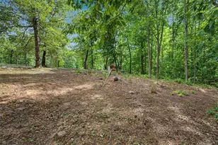 650 N Raburn Road N, Bremen, GA 30110 - Photo 38