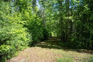 106 Nimblewill Overlook, Dahlonega, GA 30533 - Photo 44