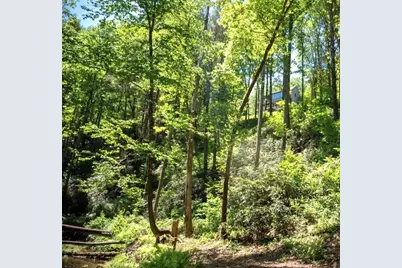 106 Nimblewill Overlook, Dahlonega, GA 30533 - Photo 36
