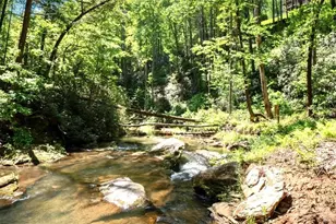 106 Nimblewill Overlook, Dahlonega, GA 30533 - Photo 46