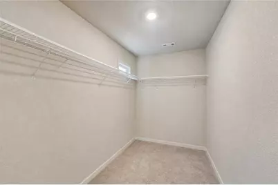 10933 Wheeler Trace, Hampton, GA 30228 - Photo 16