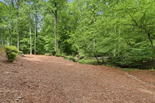 280 Flowing Spring Trail, Roswell, GA 30075 - Photo 38